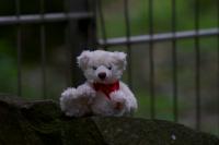 DSC01362.jpg