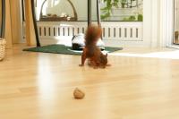 DSC02257.jpg