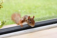 DSC02292k.jpg