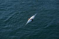 DSC07158.jpg