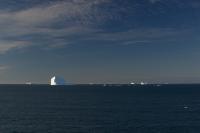 DSC07214.jpg