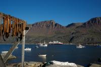 DSC07224.jpg