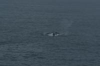 DSC07313.jpg