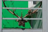DSC08879-28129.jpg