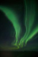 DSC09344.jpg