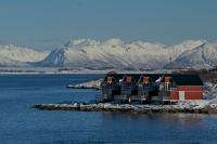 DSC09403.jpg