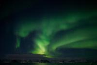 DSC09535.jpg