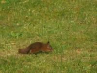 IMG_3953.jpg