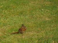 IMG_3957.jpg