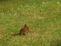 IMG_3959.jpg