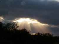 IMG_5778.jpg