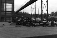 L1000031.jpg