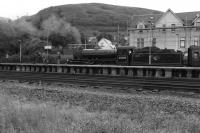 L1000326.jpg