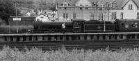 L1000332.jpg