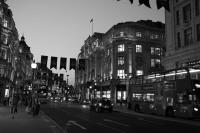 L1000533.jpg