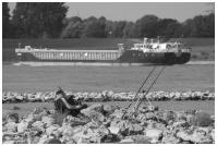 20090817__IGP2389.jpg