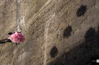 20120406_IGP0019.jpg