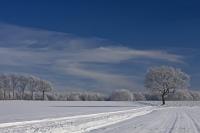 Dateiname=Wintermärchen3.jpg
Dateigröße=314KB
Abmessungen: 1000x667
hinzugefügt am: 25. Januar 2009 Wintermärchen3.jpg