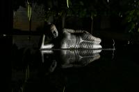 Buddha~0.JPG