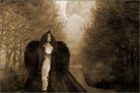sharin_raven02f_web.jpg