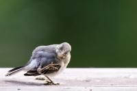 1D4_0582_LR4-3.jpg