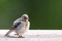 1D4_0583_LR4-2.jpg