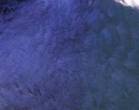 Bildschirmfoto_2012-06-24_um_13_32_34.jpg