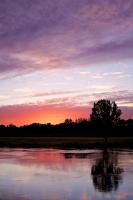 DSCF0698.jpg