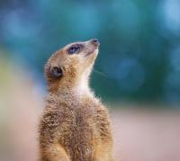 IMG_0290_k.jpg