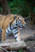 IMG_0315_28129.jpg