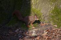 IMG_0603k.jpg