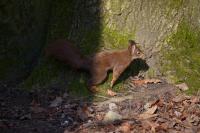 IMG_0604k.jpg