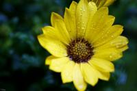 IMG_1655.jpg