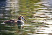 IMG_2411.jpg