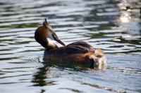 IMG_2426.jpg