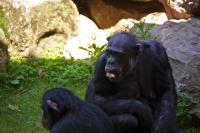 IMG_2684__2_.jpg