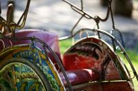IMG_2766.jpg