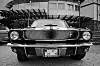 IMG_2797.jpg