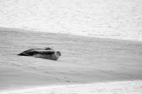 IMG_5043.jpg