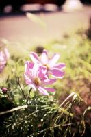 IMG_8989__1_.jpg