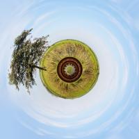little_planet.jpg
