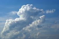 DSC05150_edited-1.jpg