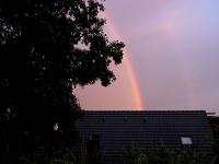 co_DSC7603.jpg