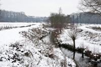 co__DSC5913.jpg