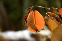 co__DSC5982.jpg