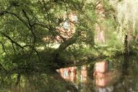 comp__DSC0236.jpg