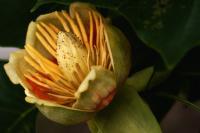 comp__DSC0340.jpg