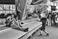 comp__DSC0661fsw.jpg