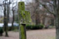 comp_kl_DSC5540.jpg