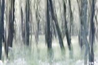 comp_wald.jpg
